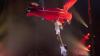 Rund 3000 Menschen besuchen am Donnerstag (12.12.24) die Premiere des Weihnachtscircus Krone auf der Talavera in Würzburg. Der Circus gastiert noch bis zum 06.01.25 in der Domstadt. Eine Aero-Komödie im Stil der 20er Jahre in einer unterhaltsamen Flugshow. Pablo Garcia und seine Ehefrau Vicky präsentieren als tollkühne Helden der Lüfte einen “Flug mit Hindernissen”.