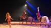 Rund 3000 Menschen besuchen am Donnerstag (12.12.24) die Premiere des Weihnachtscircus Krone auf der Talavera in Würzburg. Der Circus gastiert noch bis zum 06.01.25 in der Domstadt. Auftritt von: „Nagaïka Tribe“, einer französischen Truppe bestehend aus fünf Reiterinnen, die die Dschigiten-Reiterei präsentieren.