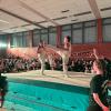 Impressionen von der Turnschau des TSV-Gochsheim