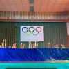 Impressionen von der Turnschau des TSV-Gochsheim