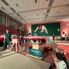 Impressionen von der Turnschau des TSV-Gochsheim