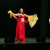 330 Menschen besuchen am Montag (30.12.24) die Jahresabschluss-Gala des KulturPackts im Evangelischen Gemeindehaus in Schweinfurt. Rund 70 Künstlerinnen und Künstler treten bei dem etwa dreistündigen Programm auf. Das Duo Lahab der Tanzgruppe Shazanara führt einen Fächerschleihertanz auf.
