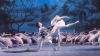 Mit Begeisterungsstürmen und Bravorufen dankte das begeisterte Publikum dem Ensemble des "Royal Classical Ballet".