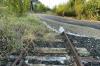 In Gerolzhofen sind die Gleise der stillgelegten Steigerwaldbahn mittlerweile unter einem Fuß- und Radweg verschwunden. Der Bahnübergang ist vor einigen Monaten vorübergehend angelegt worden und müsste bei einer Reaktivierung der Strecke wieder entfernt werden.