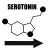 Der Botenstoff Serotonin wird auch als Glückshormon bezeichnet. Aber verursacht ein Mangel wirklich Depressionen?