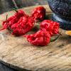 Die Carolina Reaper gilt als die schärfte Chilischote der Welt.