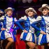 Zahlreiche Menschen besuchen am Samstag 25.01.25 die Große Kostümprunksitzung Knorrhalla in Oberdürrbach.