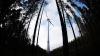 Möglicherweise gibt es bald mehr Windräder im Ostallgäu. Genossenschaften könnten davon profitieren.