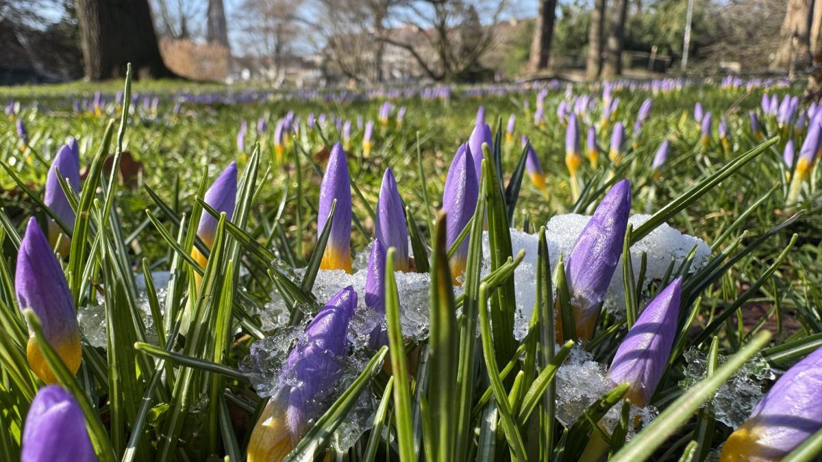 wetterumschwung-in-bayern-kommt-jetzt-der-fr-hling