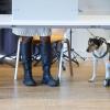 Er würde ja die Tierschutzpartei wählen.... Aber sein Frauchen, das hier in einer Wahlkabine zur Stimmabgabe für die Bundestagswahl in einem Wahllokal in Brandenburg steht, verrät nicht, wo sie ihre Kreuze macht. Wahlgeheimnis!