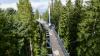 Der Baumwipfelpfad in der Waldwelt Skywalk Allgäu in Scheidegg ist ein besonderes Ausflugshighlight.