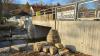 Der Neubau der Viehbrücke in Unterelsbach ist eine der größten Posten im Vermögenshaushalt 2025 des Marktes Oberelsbach.