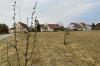 Nach dem Abriss der alten Gewächshäuser ist der Bereich zwischen Bahnhofsweg und Gartenstraße in Mellrichstadt eine grüne Wiese. Hier sollen stadtnah Wohnungen entstehen. Doch die nun vorgelegte Planung überzeugte den Stadtrat noch nicht.
