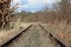 Der VCD und der Förderverein Steigerwald-Express plädieren erneut dafür, die stillgelegte Strecke der Steigerwaldbahn (hier bei Gerolzhofen) für den Personennahverkehr zu reaktivieren.