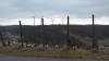 Der regionale Planungsverband Main-Rhön wird in der Fortschreibung des Regionalplans zwei Flächen im Bereich Altreichthal zur Nutzung für Windenergie ausweisen (im Bild: bestehende Windkraftanlagen in Ramsthal).