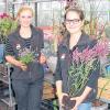 Mit Pflanzen richtig umgehen: Tina Götz (li) und Laura Schober (re.) aus Wiesen lassen sich zu Floristinnen ausbilden.