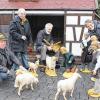 Die Krippe des Verkehrs- und Verschönerungsvereins Lichtenfels finden die Weihnachtsmarkt-Besucher heuer nicht an ihrem gewohnten Platz auf dem Säumarkt, sondern auf dem Marktplatz direkt unter dem Weihnachtsbaum. Die Mitglieder Reinhold Funk, Roswitha Funk, Manfred Popp und Heidi Meyer (von links) beim Aufbau.