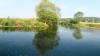 An der Nahtstelle zwischen Main und Mühlbach: Bach und Fluss führen nur noch sehr wenig Wasser.