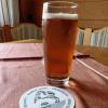Tiefgolden, ins Bernsteinfarbene gehend, klar und vor allem seelenruhig liegt das helle Lager der Brauerei Leicht im Glas