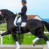 Tatjana Scheinder lernte das Reiten beim Reitverein Maintal Lichtenfels.