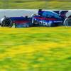 Der Rennwagen Typ STR12 von der Scuderia Toro Rosso. Foto: Jens Büttner
