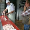 Die Bratwurstmasse kommt aus der Füllmaschine und wandert in den Schweinedünndarm: Volker Gagel bewältigt den Arbeitsschritt vor laufender Kamera souverän.