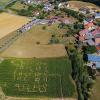 Zwischen der Kreisstraße Lif 2 und dem Dorf: das Maislabyrinth mit der „Basilika“ bei Kösten aus der Vogelperspektive.