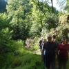 Günter Reinlein führte am Samstagabend eine Wandergruppe durchs Kleinziegenfelder Tal. Günter Reinlein führte am Samstagabend eine Wandergruppe durchs Kleinziegenfelder Tal.