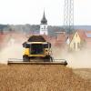Deckt der Erlös der Ernte letztlich die laufenden Kosten des landwirtschaftlichen Betriebs? Jahr für Jahr stellen sich die Bauern diesem Risiko.