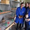 Eine kleine Ausstellung bereicherte den Taubenmarkt in Marktgraitz, die Jungendwart Tobias Hümmer (li.), Stephan Oppel und Vorsitzender Hilmar Neder mit dem  jüngsten Mitglied Leon eröffneten.