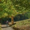 Im vergangenen Herbst: Eine Dame auf dem Kreuzweg hinauf zur Wallfahrtskirche Gügel bei Scheßlitz.