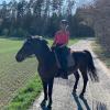 Birgit Hoffmann reitet im Gelände und verbindet somit das Angenehme mit dem Nützlichen. Birgit Hoffmann reitet im Gelände und verbindet somit das Angenehme mit dem Nützlichen.