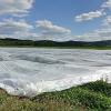 Noch schlummern die Pflänzchen unter dem schützenden Vlies wie hier auf dem Selbstpflückfeld von Erdbeeren Bayer bei Grundfeld. Ob allerdings für die reguläre Erdbeerernte ausreichend Arbeitskräfte zur Verfügung stehen, ist derzeit noch ungewiss. Noch schlummern die Pflänzchen unter dem schützenden Vlies wie hier auf dem Selbstpflückfeld von Erdbeeren Bayer bei Grundfeld. Ob allerdings für die reguläre Erdbeerernte ausreichend Arbeitskräfte zur Verfügung stehen, ist derzeit noch ungewiss.