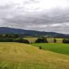 Thringer Wald. Thringer Wald.