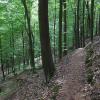 Auf dem Maximilianspfad durch den Banzer Wald.