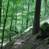 Auf dem Maximilianspfad muss der Wanderer aufpassen, um nicht abseits des Weges umzuknicken. Auf dem Maximilianspfad muss der Wanderer aufpassen, um nicht abseits des Weges umzuknicken.