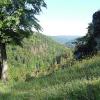 Zwischen Wohnsig und Weiden am Rand der Hochfläche. Zwischen Wohnsig und Weiden am Rand der Hochfläche.
