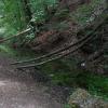 An der Krassach-Quelle. An der Krassach-Quelle.