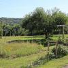 Der Klostergarten benötigt viel Arbeit und Pflege. Der Klostergarten benötigt viel Arbeit und Pflege.