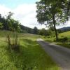 Auf der Wandertour rund um Weismain ist eine Begegnung mit grasenden Schafen keine Seltenheit.