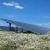 Eine Photovoltaik-Freifläche in Franken.