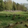 Der Jüdische Friedhof bei Burgkunstadt. Das Grab von Otto Heimann befindet sich in der Reihe der letzten Gräber.