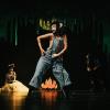 Das Tanzensemble des Landestheaters zeigt das Ballett „Giraffen können nicht tanzen“. Das Tanzensemble des Landestheaters zeigt das Ballett „Giraffen können nicht tanzen“.