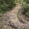 Kaum noch passierbar ist der Weismainer Wanderweg 4 zwischen der Weihersmühle und Kleinziegenfeld.