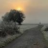 Früh merkt man schon sehr, dass es Herbst geworden ist. Der Nebel sucht seinen Weg und wird von der Sonne magisch umrahmt. Fast mystisch wirkt die Stimmung auf den Mainwiesen.Text/