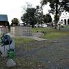Der Burgkunstadter Friedhof soll grüner werden. Geprüft wird, welchen Pflegeaufwand es machen würde, angeflogenen Bewuchs auf Grünflächen zuzulassen und gleichzeitig ein gepflegtes Bild zu bewahren. Die Urnenanlage soll stärker eingegrünt werden. Der Burgkunstadter Friedhof soll grüner werden. Geprüft wird, welchen Pflegeaufwand es machen würde, angeflogenen Bewuchs auf Grünflächen zuzulassen und gleichzeitig ein gepflegtes Bild zu bewahren. Die Urnenanlage soll stärker eingegrünt werden.