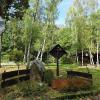 Der Biergarten auf dem Göritzenplateau wurde um Kastanien- und Nussbäume ergänzt. Ideal für neue Veranstaltungen.