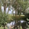 Der Wasserstand der Bodhül schwankt über das Jahr hinweg. Im Frühjahr und Sommer ist sie mit Regenwasser gefüllt, im Herbst und Winter trocknet sie manchmal ganz aus. So können sich keine Fische halten, die den Froschlaich fressen.