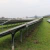Kleine Tiere nutzen die Flächen der Photovoltaikanlage entlang der Küpser Bahnlinie als Brutmöglichkeit. Auch hier soll durch Absprachen etwa mit dem Natur- und Umweltschutzbeauftragten des Marktes Küps Hubertus von Künsberg-Langenstadt (CSU) die Situation optimiert werden. Kleine Tiere nutzen die Flächen der Photovoltaikanlage entlang der Küpser Bahnlinie als Brutmöglichkeit. Auch hier soll durch Absprachen etwa mit dem Natur- und Umweltschutzbeauftragten des Marktes Küps Hubertus von Künsberg-Langenstadt (CSU) die Situation optimiert werden.