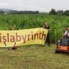 Ab sofort eröffnet das Maislabyrinth mit der „Mais-Maus“. nahe der Autobahnausfahrt Lichtenfels Nord im Stadtteil Kösten. An den Wochenenden auch mit Bewirtung. Zu sehen sind, von links, Leonie, Silke, Felix, Luisa, Marco Wagner und Daniel Ultsch.